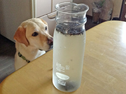 暑い夏の飲料はこれが1番　冷水出し茶! 冷水出し紅茶! 1