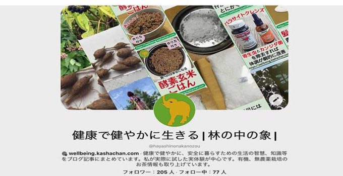 ピンタレスト-Pinterest はアイディア発見に向いた1番の検索エンジン 1